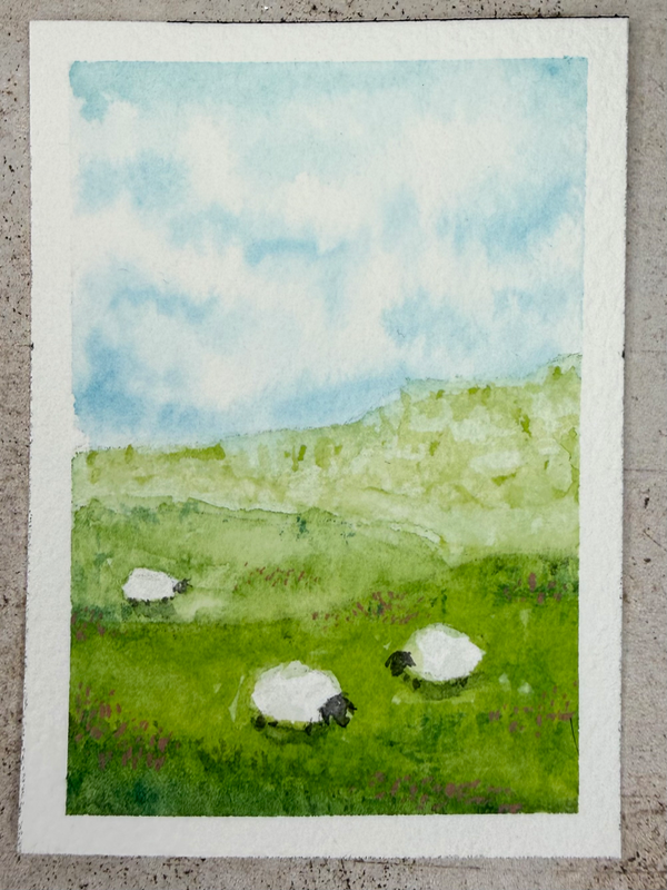 Sheeps aceo art card