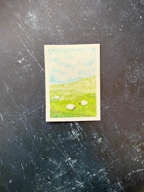 Sheep aceo art card