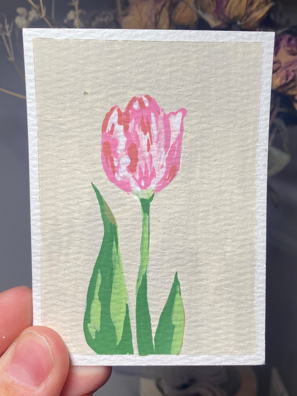 pink tulip aceo art card