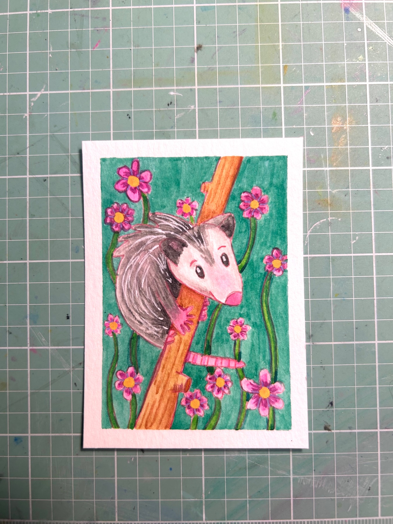 Opossum baby aceo art card