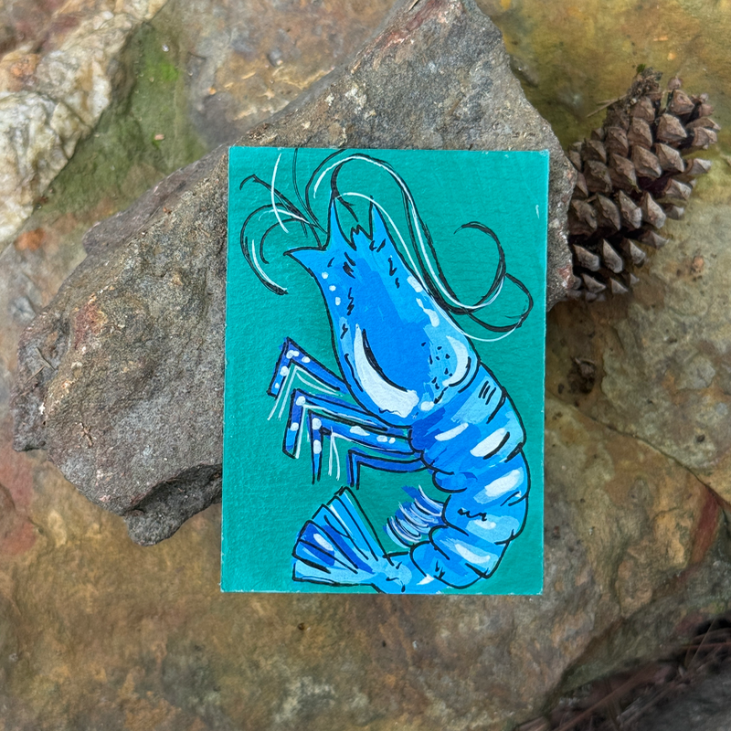 ACEO Original, Shrimp, Seafood, Louisiana, Acrylic, Abstract, By Lark Watercolor and Art aceo art card