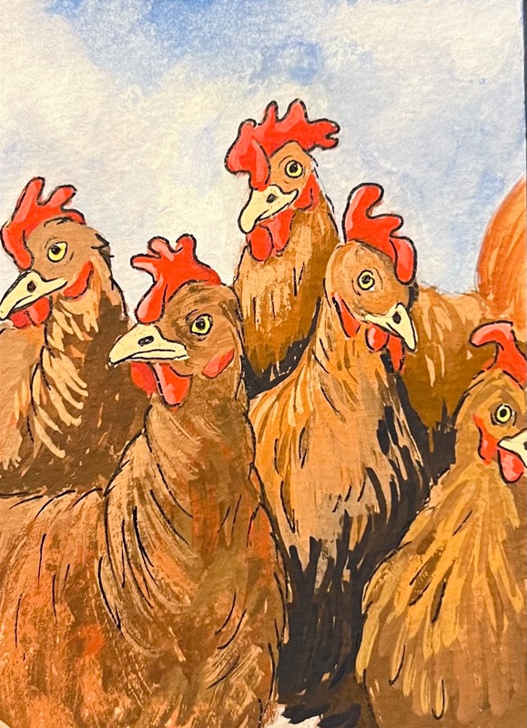 Chicken #1 aceo art card