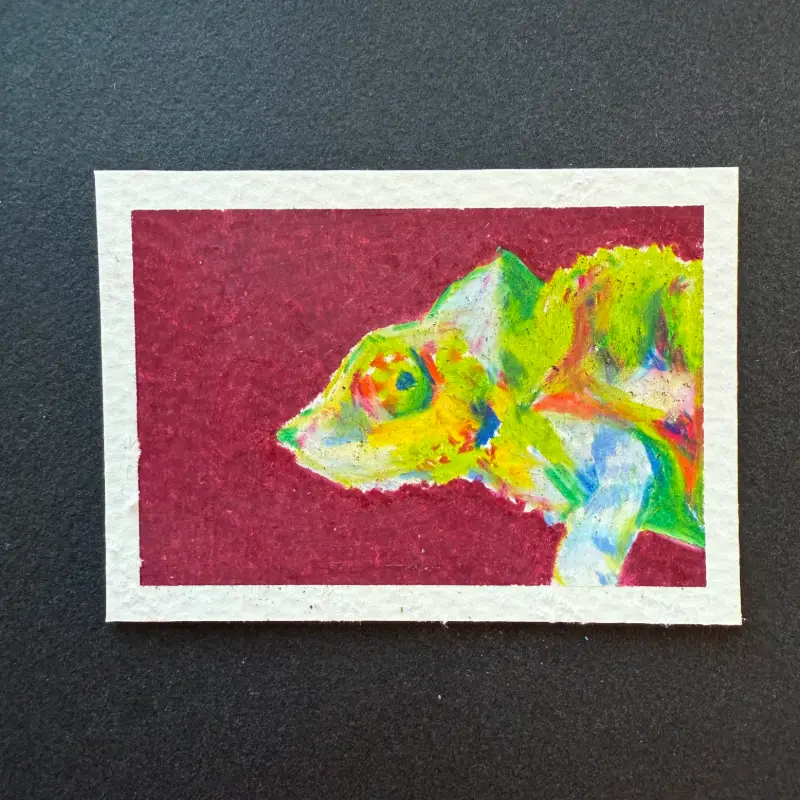 chameleon aceo art card