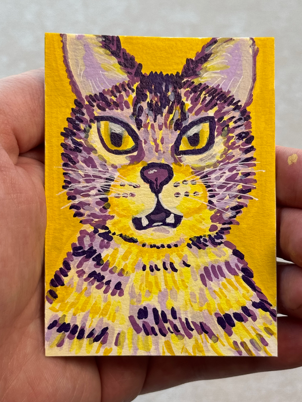 Shocked cat aceo art card