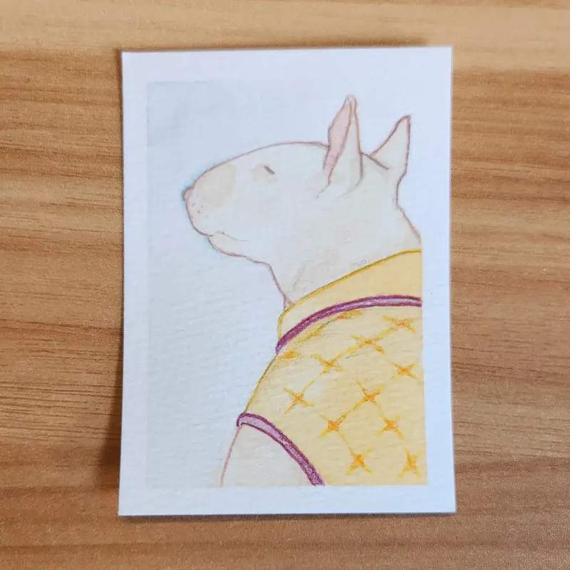bull terrier aceo art card