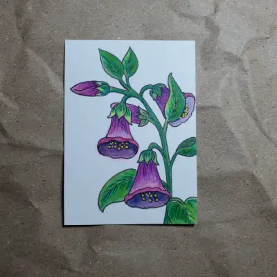 Bellflower aceo art card thumbnail 2