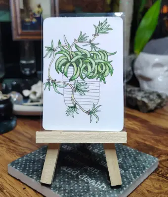 Beneficial Botanicals 3/8: Spider Plant aceo art card thumbnail 2