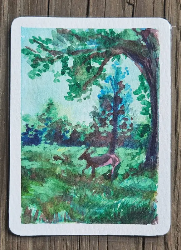 Deer in Field aceo art card
