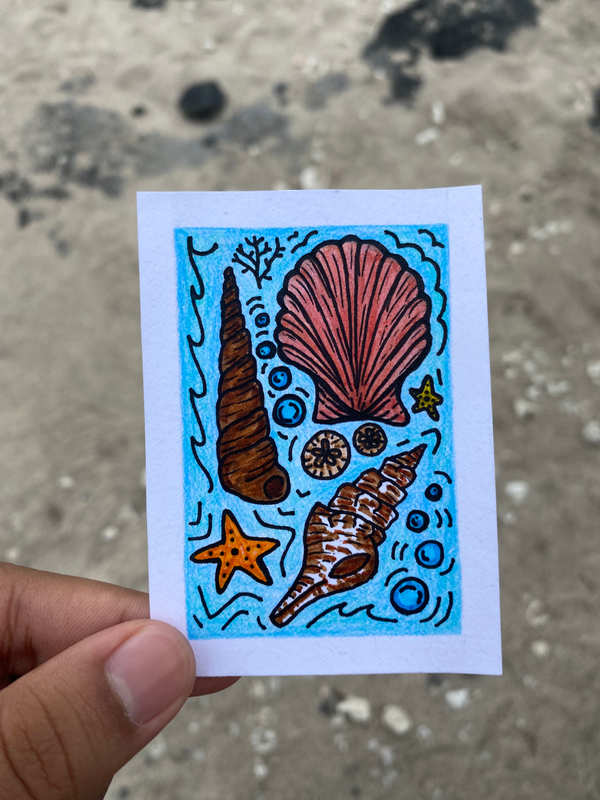 Shells at the Beach aceo art card