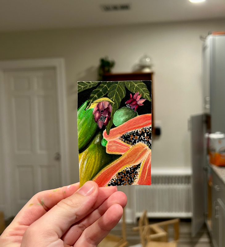 Coral Slice aceo art card