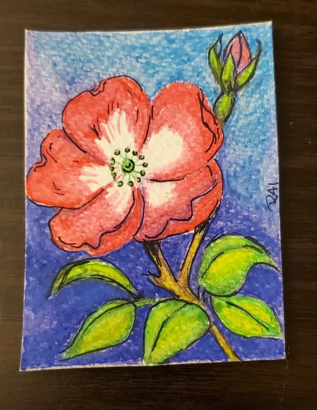 Red Flower aceo art card