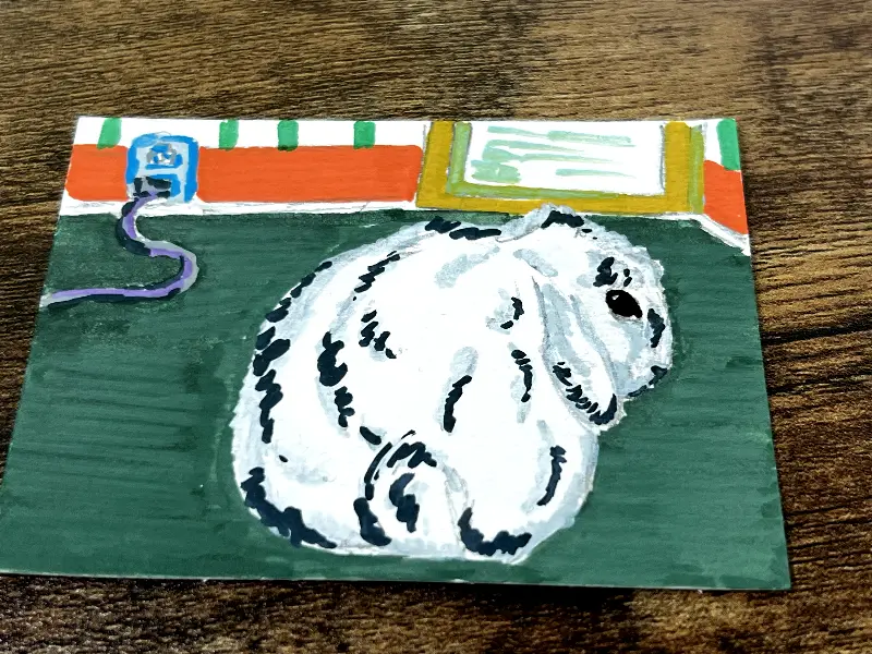 Mischievious Bunny aceo art card