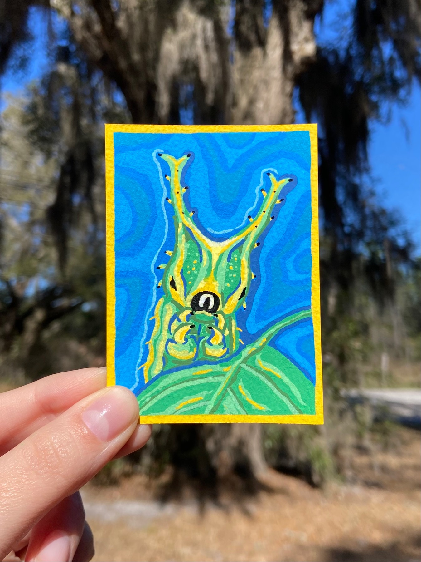 Japanese Emperor Caterpillar aceo art card