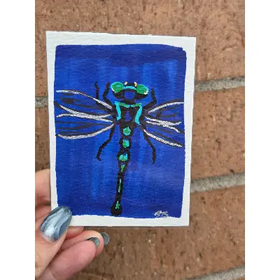 Cobra Clubtail Dragonfly aceo art card thumbnail 1
