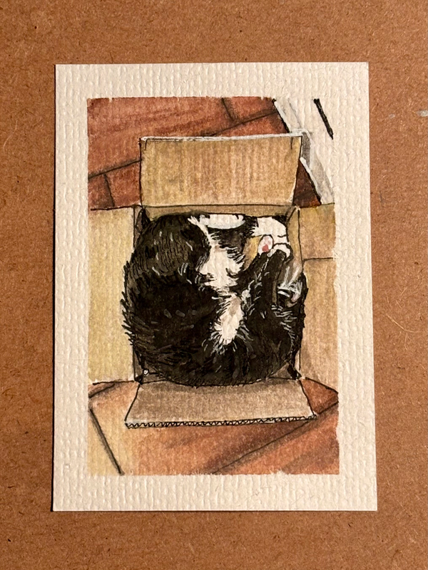 ACEO original, Emily in a box aceo art card