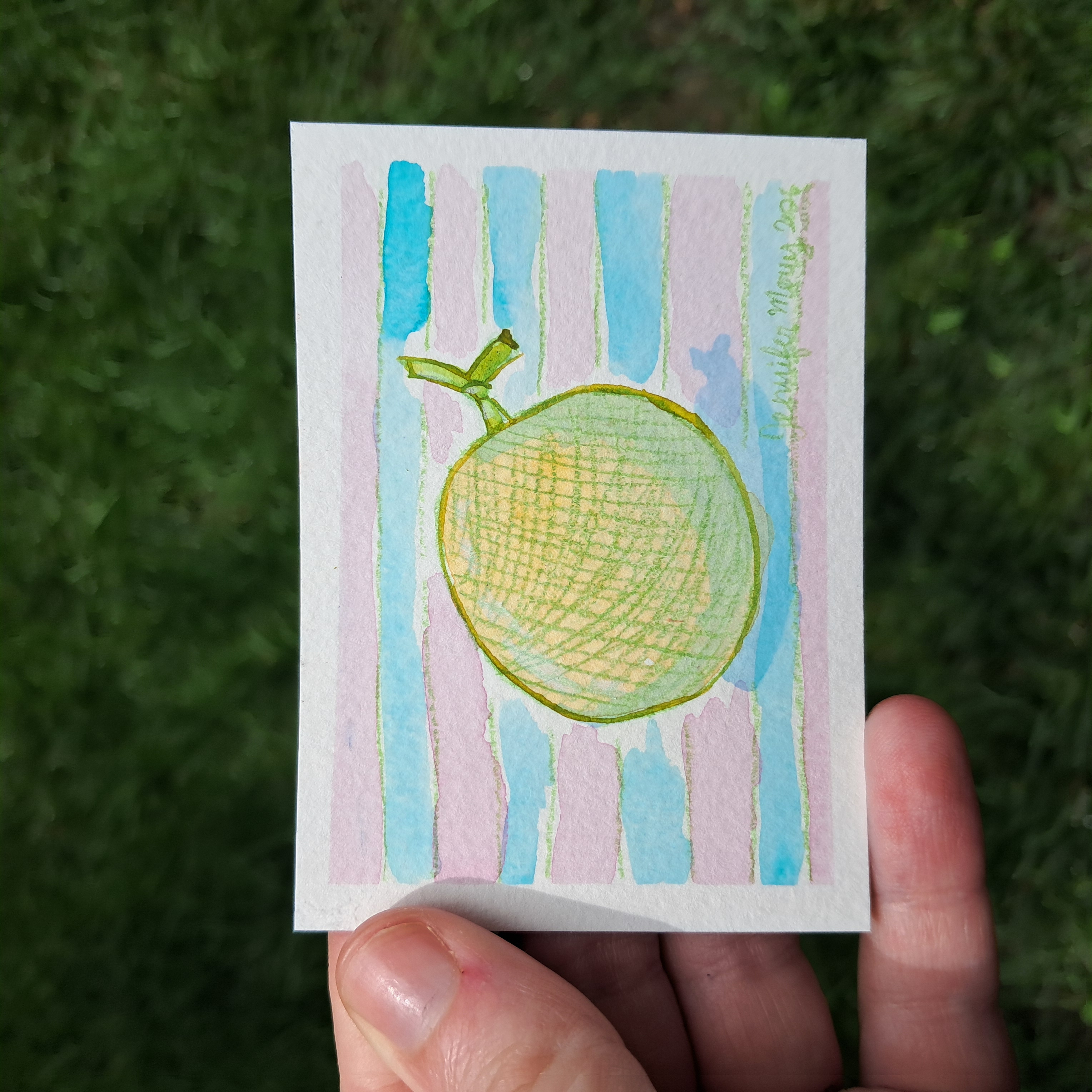 Honeydew Fruit Watercolor aceo art card
