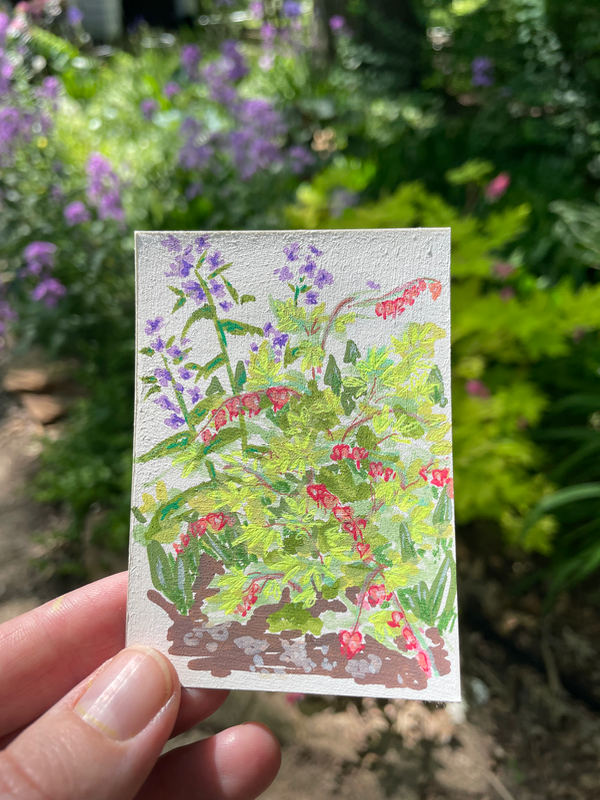 Bleeding hearts aceo art card