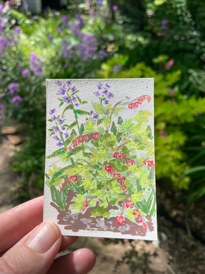 Bleeding hearts aceo art card thumbnail 1