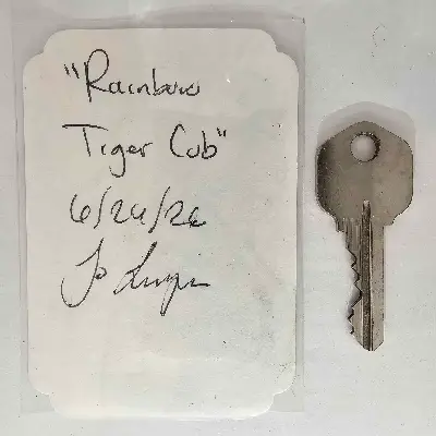 Rainbow Tiger Cub aceo art card thumbnail 3