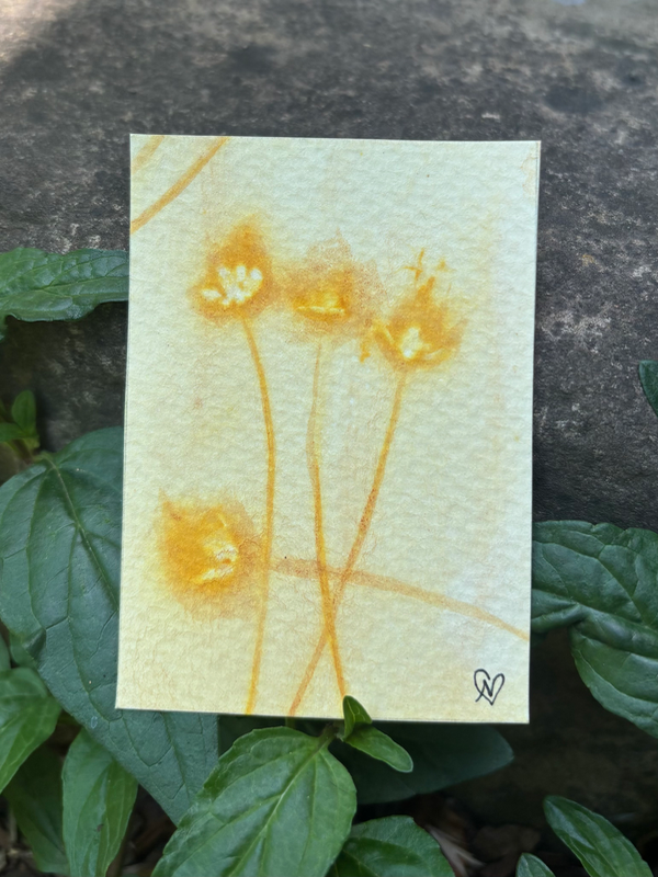 SunPrint 04 aceo art card