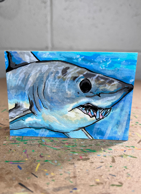 Shortfin Mako Shark aceo art card