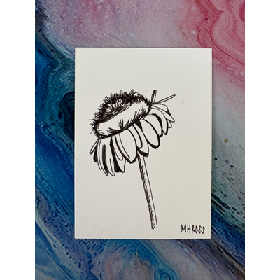 Wilting Daisy aceo art card thumbnail 3
