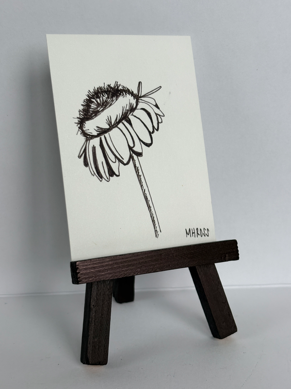 Wilting Daisy aceo art card
