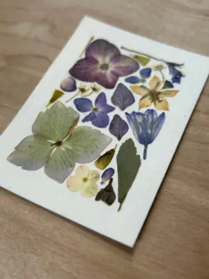 Pressed Flowers #2 aceo art card thumbnail 2