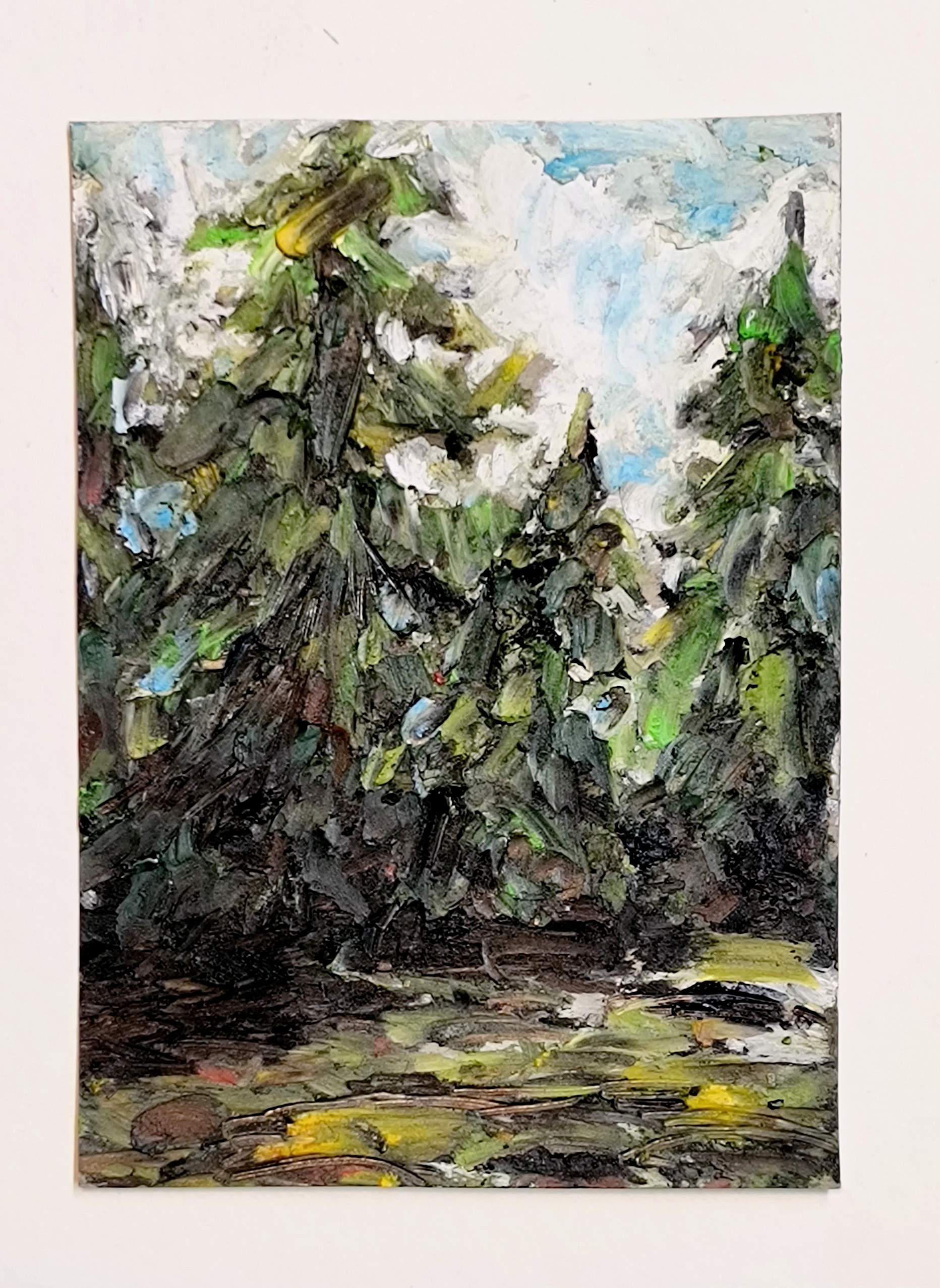 Pine Trees aceo art card