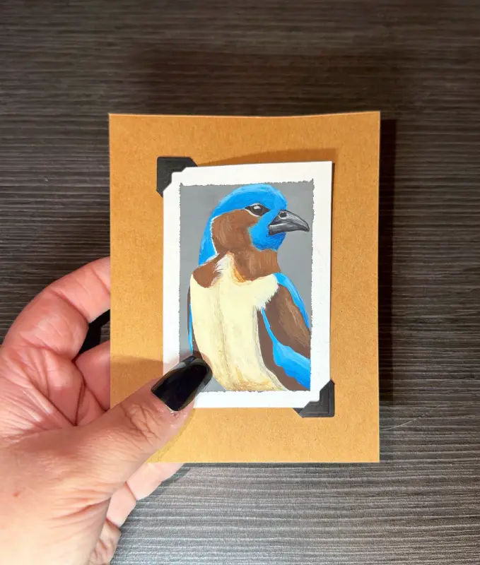 ACEO Original Acrylic Painting Bird Series by Emily aceo art card