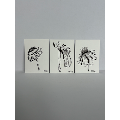 Wilting Zinnia aceo art card thumbnail 4