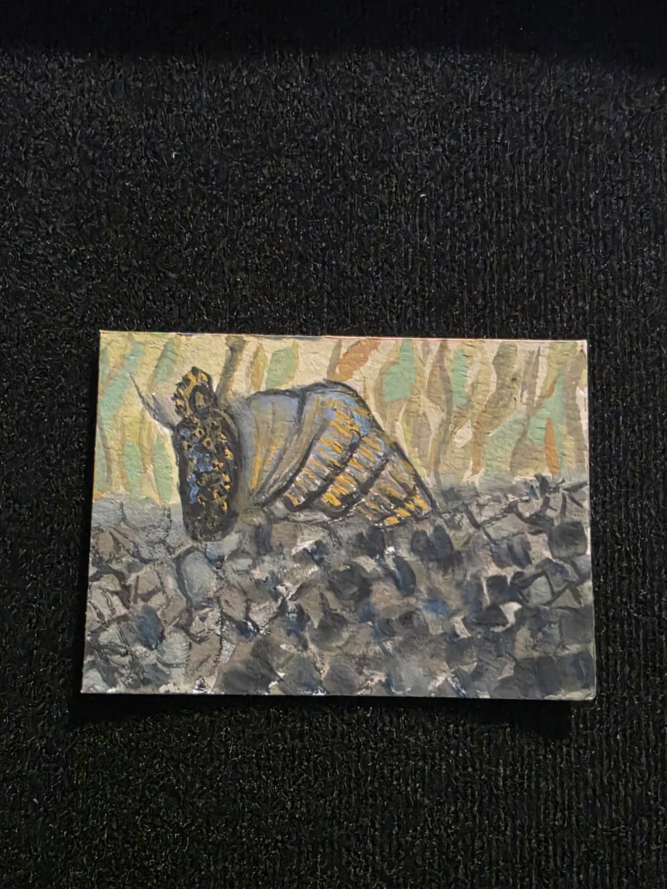 Rabbit Snail aceo art card