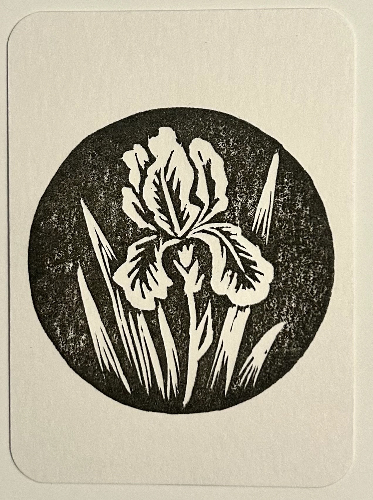 Iris 2 aceo art card