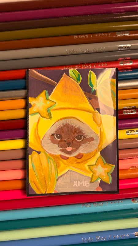 ACEO Original Silly Cat Starfruit Collaboration | Cat x Fruit Series 3/5 | 2.5x3.5 aceo art card