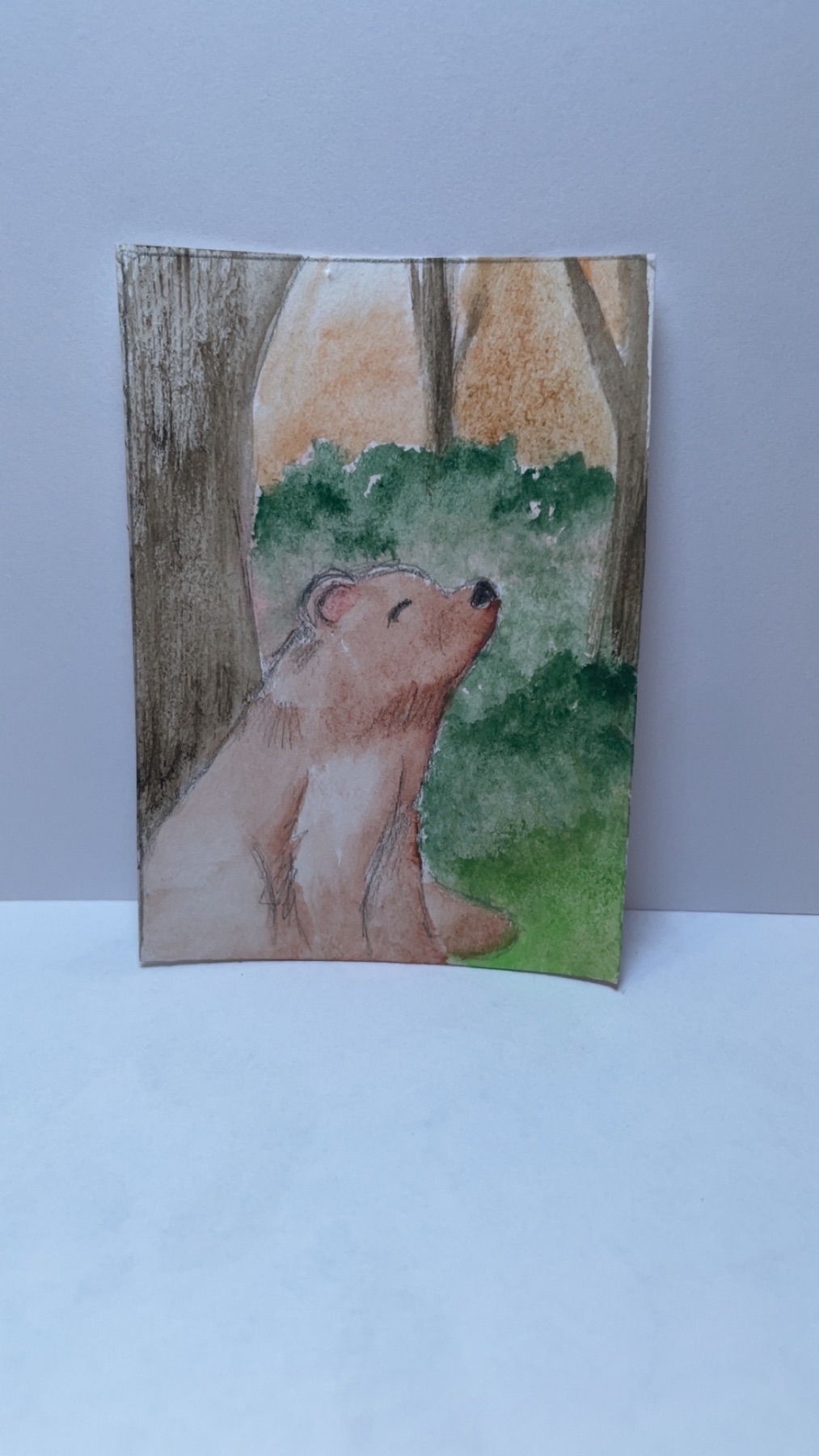 Bear in the woods aceo art card
