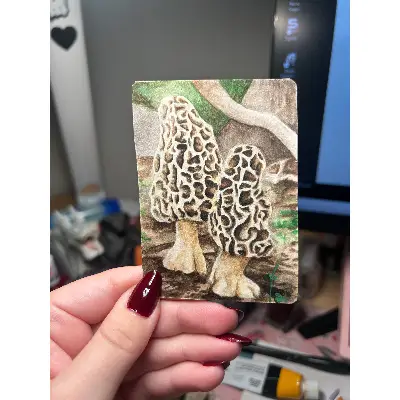 Twin Morels aceo art card thumbnail 2