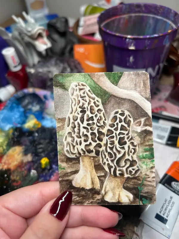 Twin Morels aceo art card