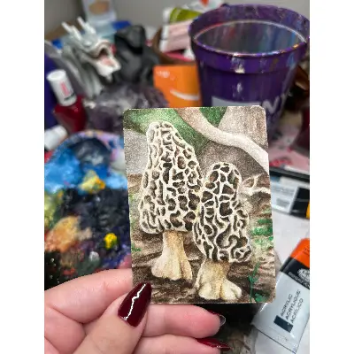 Twin Morels aceo art card thumbnail 1