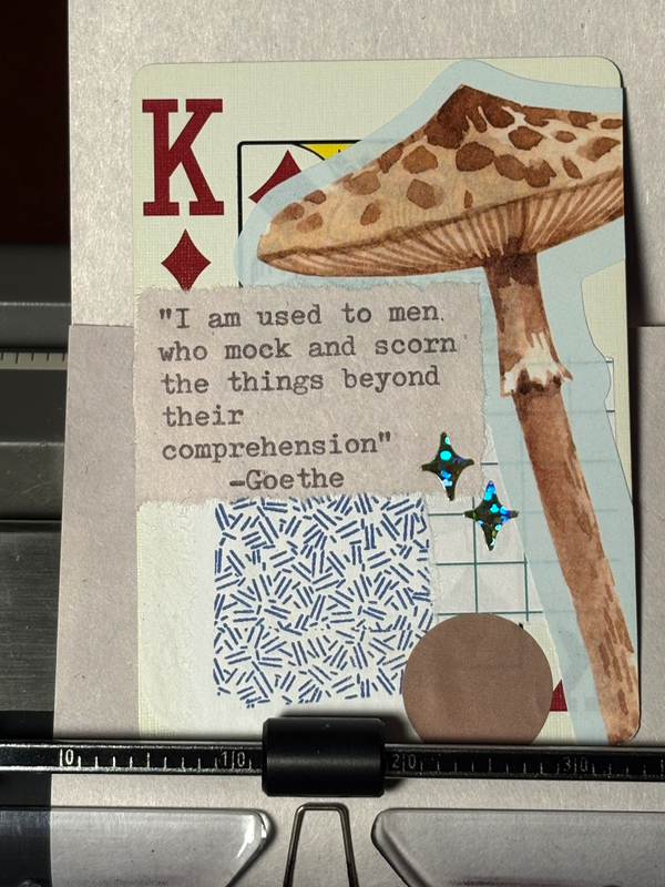 Mushroom Quote Card #135 by Mazerzine Goethe aceo art card
