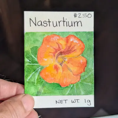 Nasturtium Seed Packet ACEO aceo art card thumbnail 2