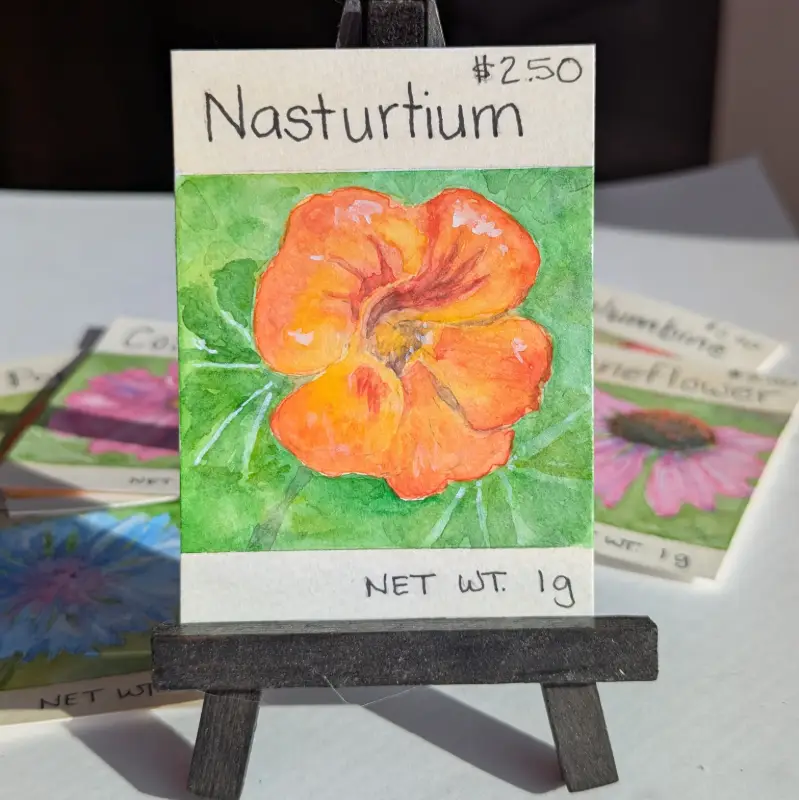Nasturtium Seed Packet ACEO aceo art card
