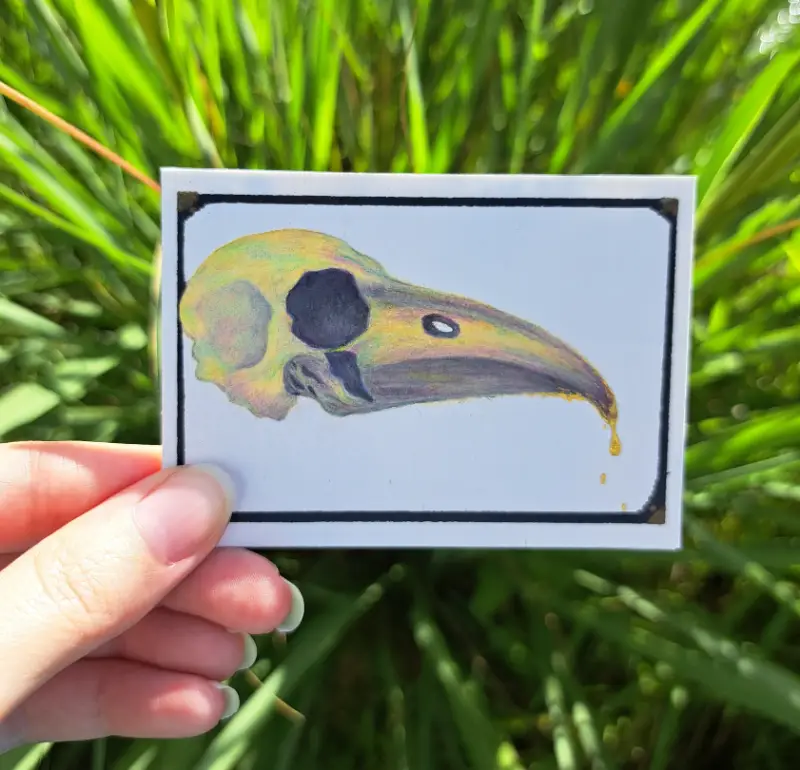 When The Lyrebird Hums aceo art card