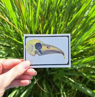 When The Lyrebird Hums aceo art card thumbnail 2
