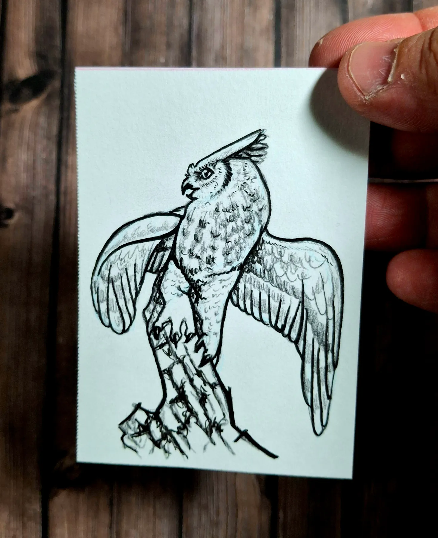 Owl in Ink and Pencil aceo art card