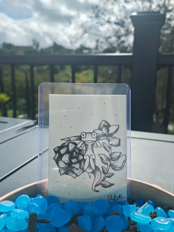 Dragon salamander aceo art card