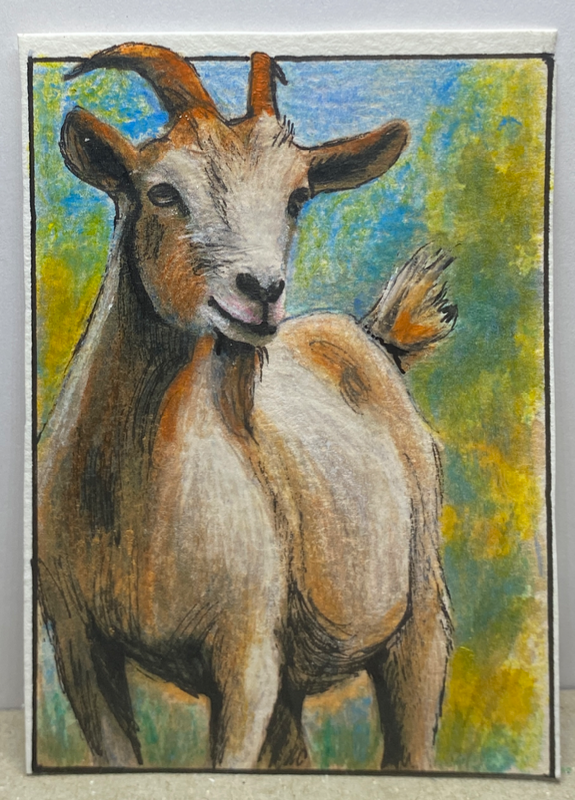 Boricua Houdini aceo art card