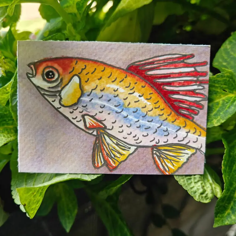 Francis the Fish aceo art card