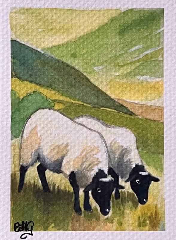 Irish Sheep 1 aceo art card