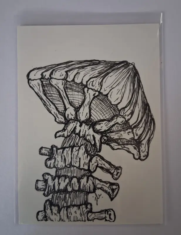 Spinal Shroom aceo art card