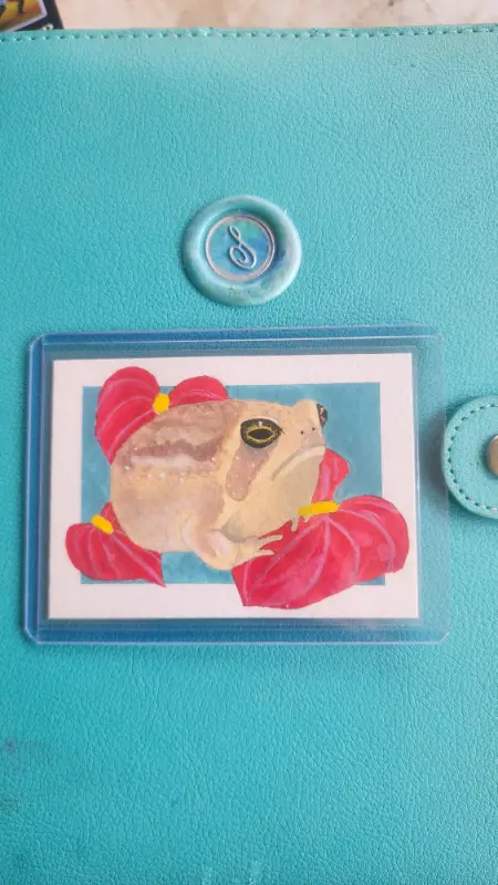 Frogs Series #2 - Desert Rain Frog aceo art card